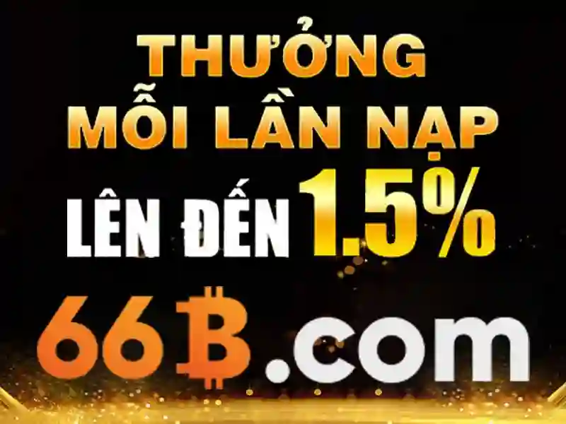 66b hạ long vũng tàu – hành trình thương hiệu và trải nghiệm