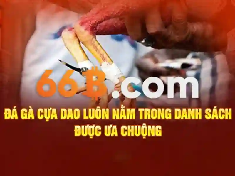 <!--IMG_PLACEHOLDER alt>Trải nghiệm người dùng và phản hồi cộng đồng-->