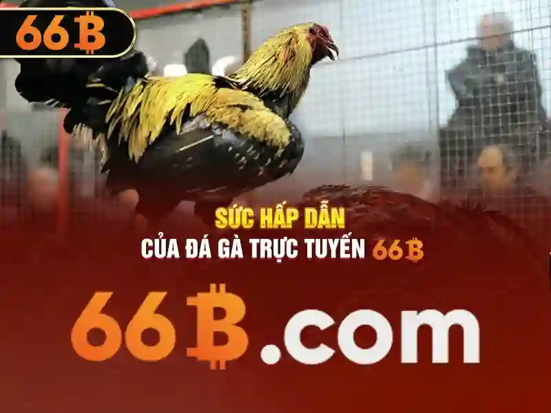 66b triều khúc thanh xuân hà nội – Định hình thương hiệu và tiện ích