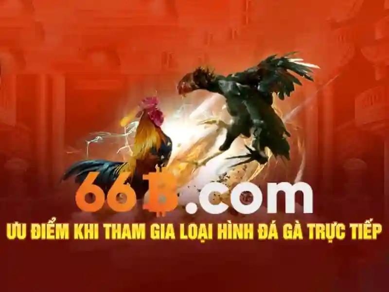 Kích thước và hiệu suất