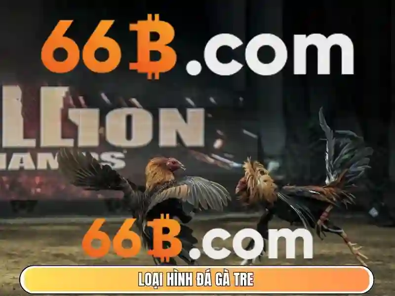 link 66b – Nền tảng kết nối và hành trình thương hiệu