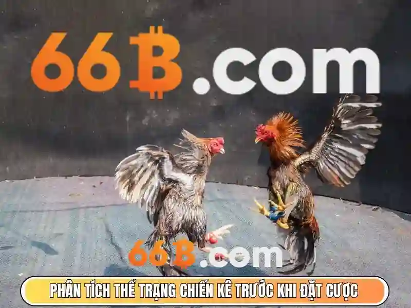 64/66b – Nguồn gốc, trải nghiệm và giá trị thương hiệu