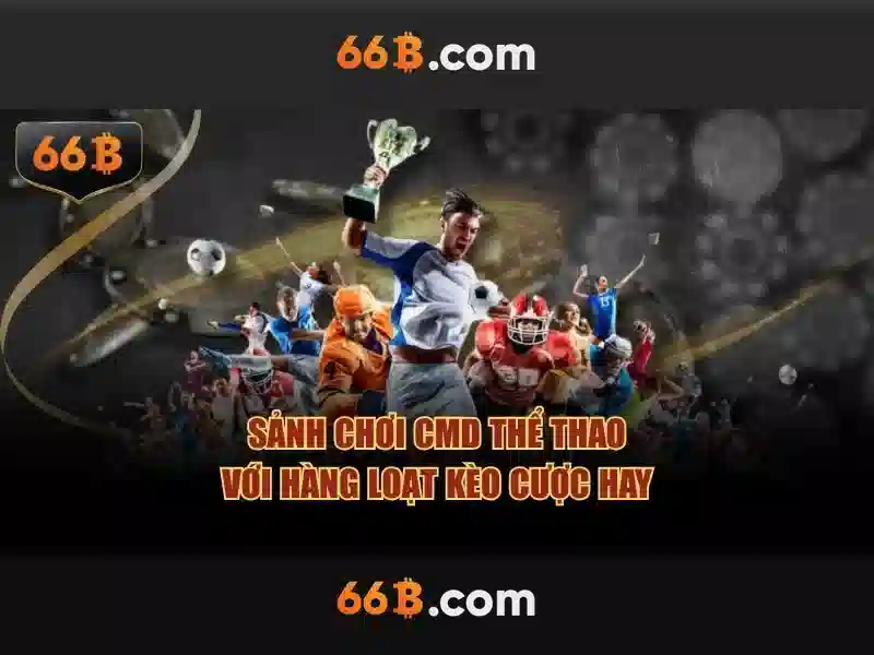 66B là gì?