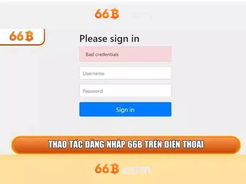 66b: một cái nhìn tổng quan