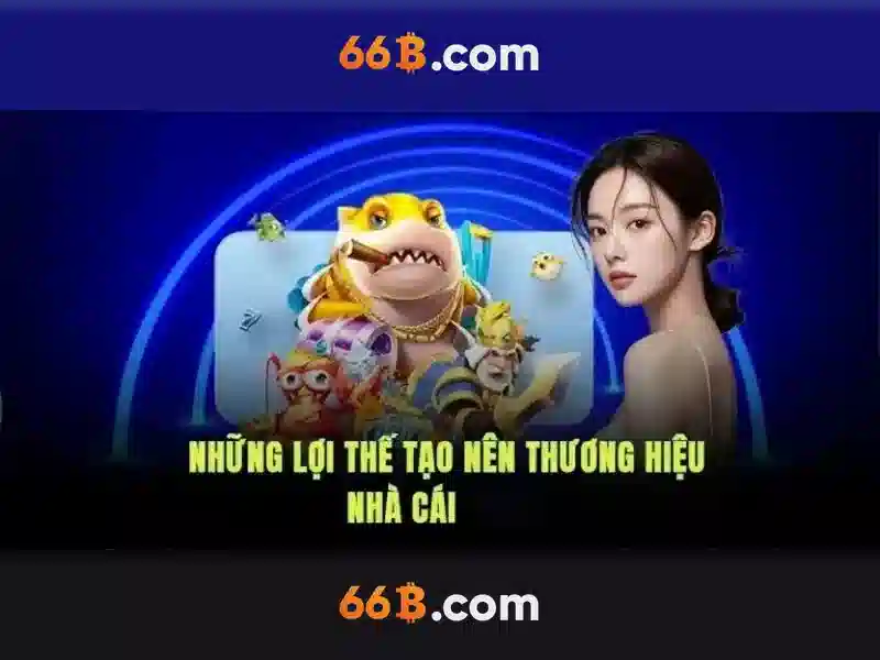 Trải nghiệm người dùng và phản hồi từ cộng đồng