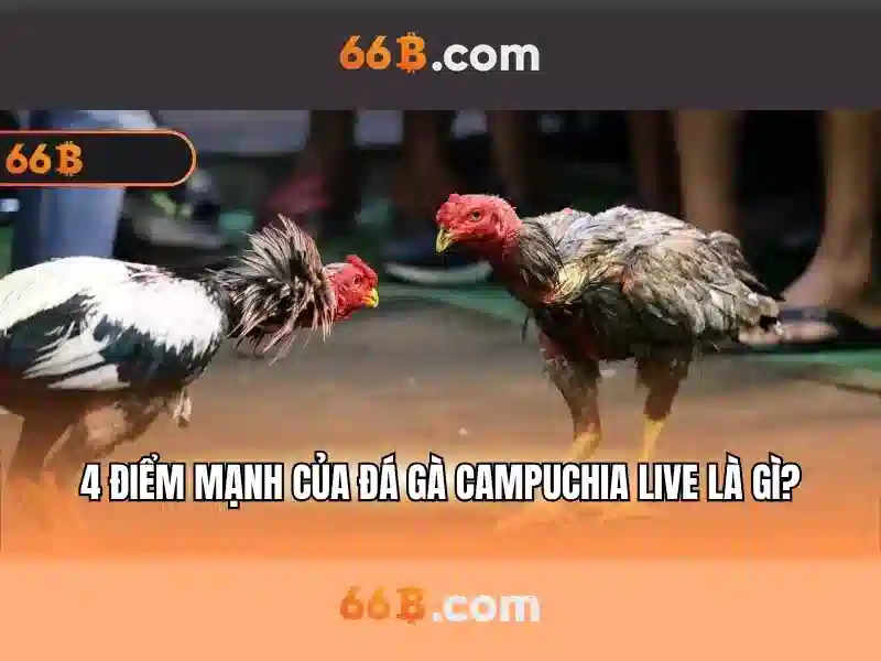 66b đăng nhập: trải nghiệm đỉnh cao và hành trình thương hiệu 66b