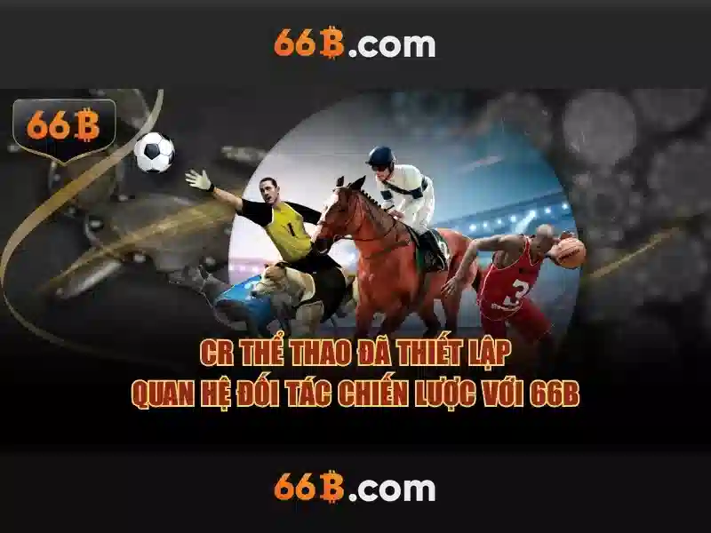 66b là gì? Khái niệm, ứng dụng và tiềm năng