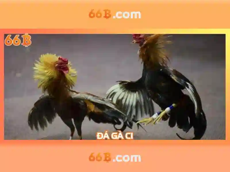 ac 90-66b: Khám phá sức mạnh và giá trị thương hiệu Giao diện nhà cái hoàn hảo