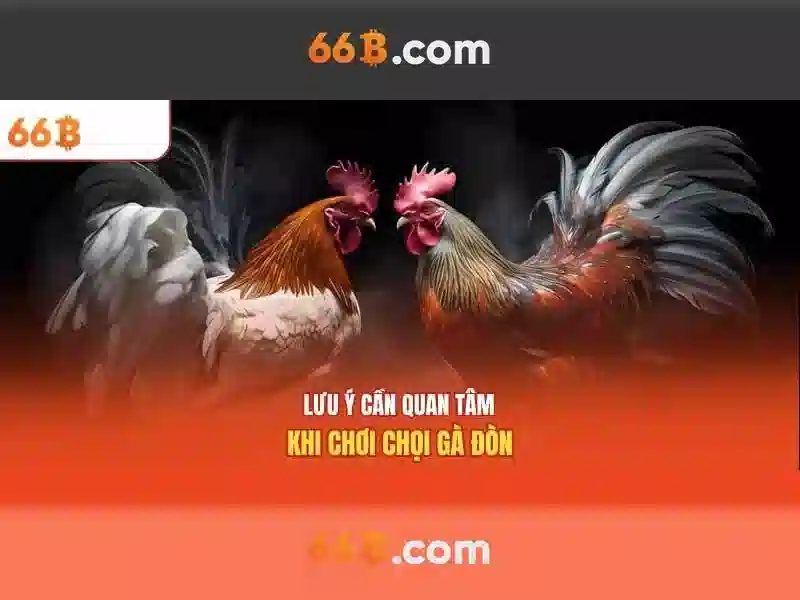 Ứng dụng tiềm năng và thách thức