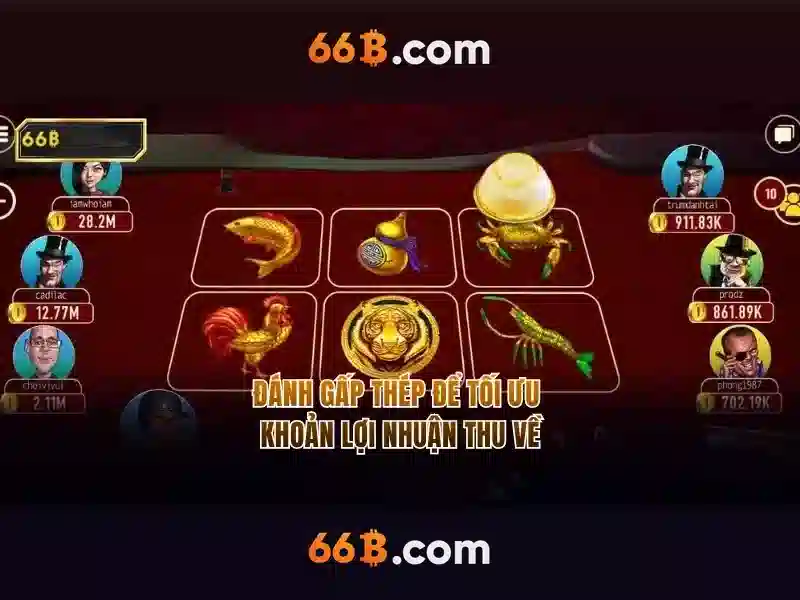 Giới thiệu về 66b\n\n