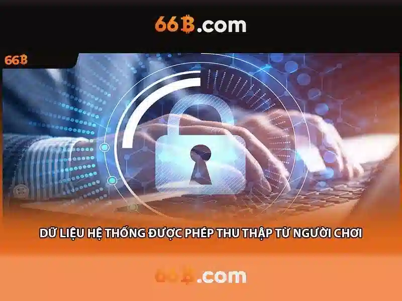 Giới thiệu về 66B 