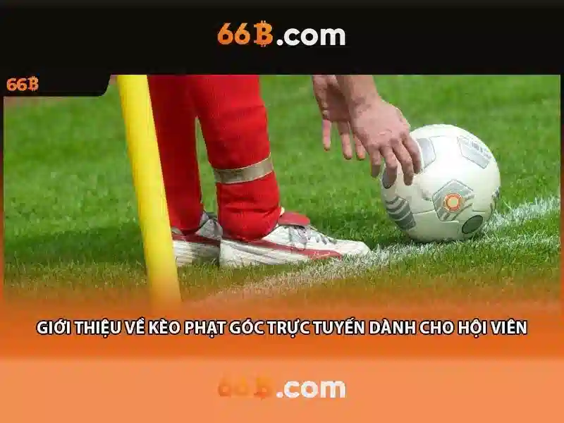 66b chính thức: hành trình thương hiệu và trải nghiệm Giao diện nhà cái hoàn hảo