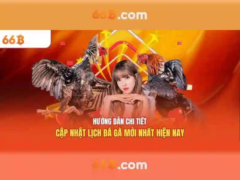 Ứng dụng của 66B