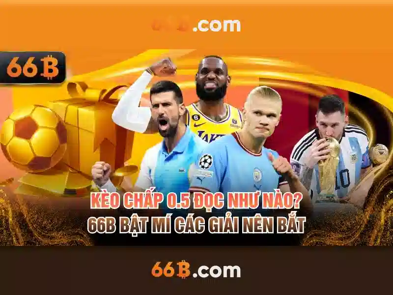 Khái niệm về 66b