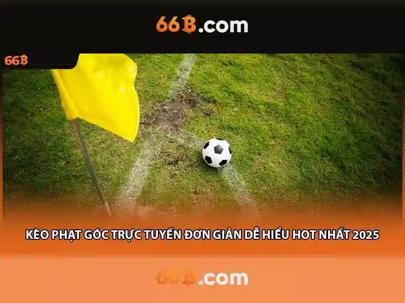 Trải nghiệm người dùng và phản hồi cộng đồng