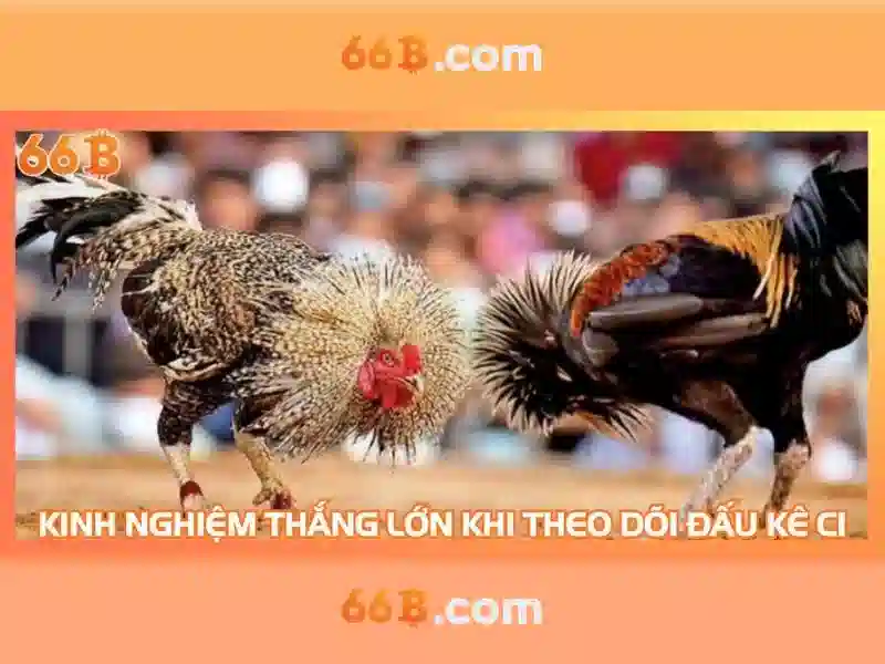 66b: một cái nhìn tổng quan về công nghệ 66b