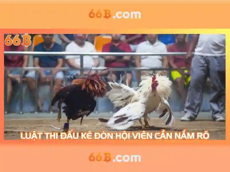 Mô hình 66B: Khám phá sức mạnh của một mô hình ngôn ngữ lớn với 66 tỷ tham số