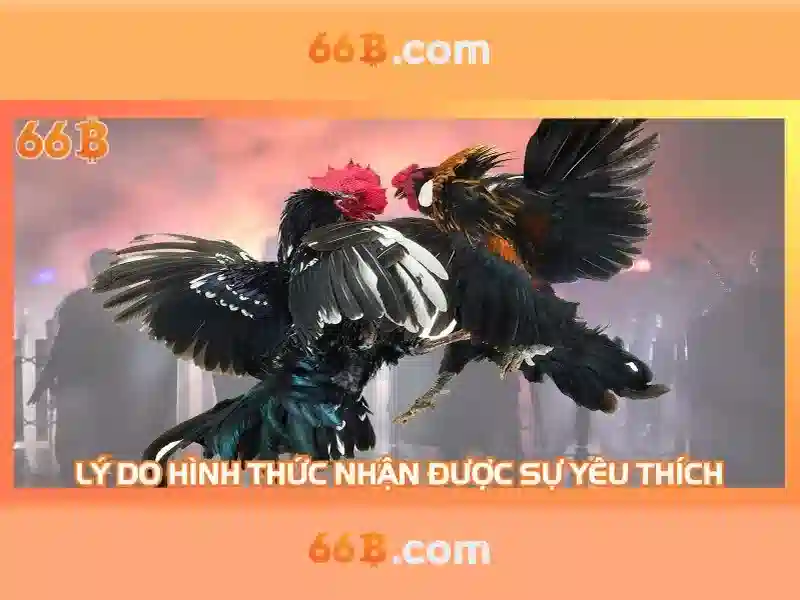 66b nguyễn sĩ sách phường 15 tân bình – Trải nghiệm thương hiệu và đổi mới