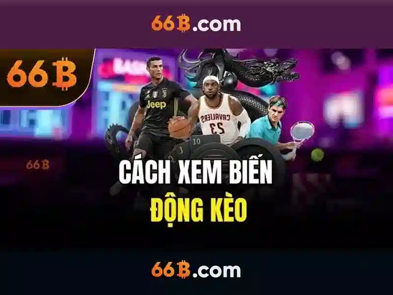 66b là gì?