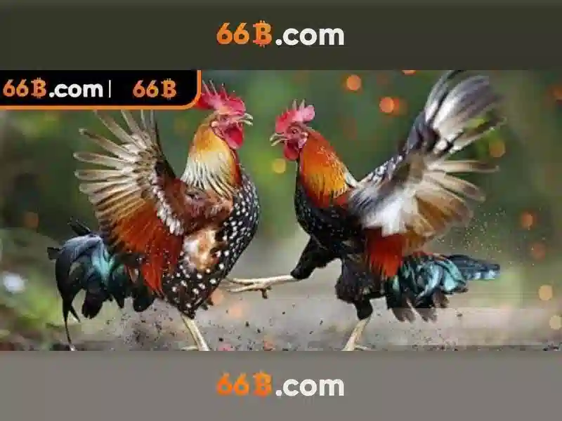 66b là gì?\n