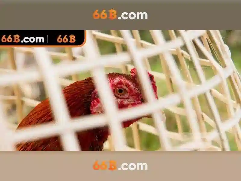 66 tỷ tham số: Vũ đài của trí tuệ nhân tạo quy mô lớn