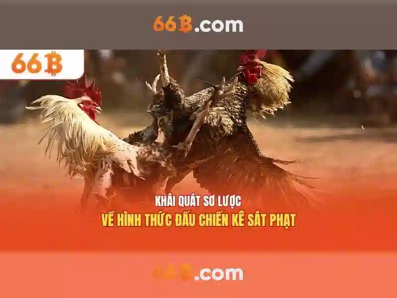 Giao diện nhà cái hoàn hảo