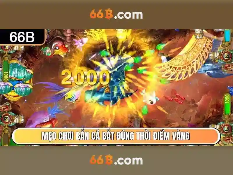Ngõ 66b Triều Khúc – Hành trình thương hiệu và trải nghiệm