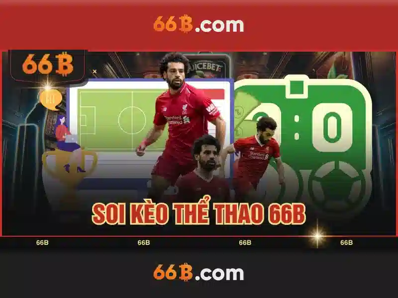 Kiến trúc và khả năng của 66B
