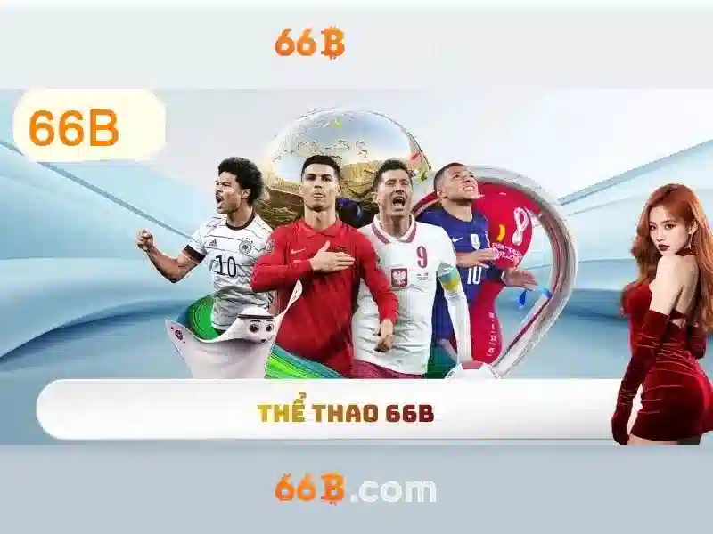 Ứng dụng của bếp từ canzy cz 66b trong đời sống hàng ngày