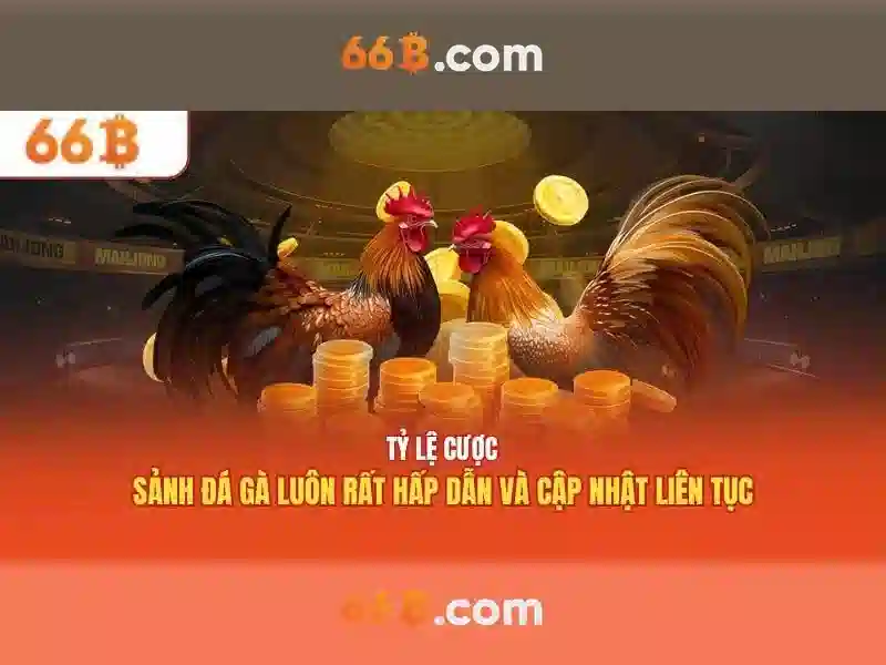 Giao diện nhà cái hoàn hảo