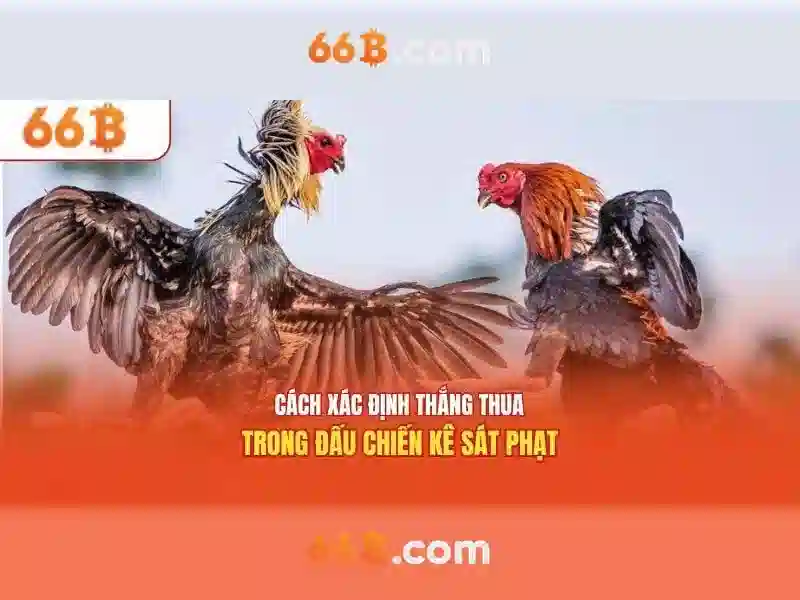 Giới thiệu về 66B\n