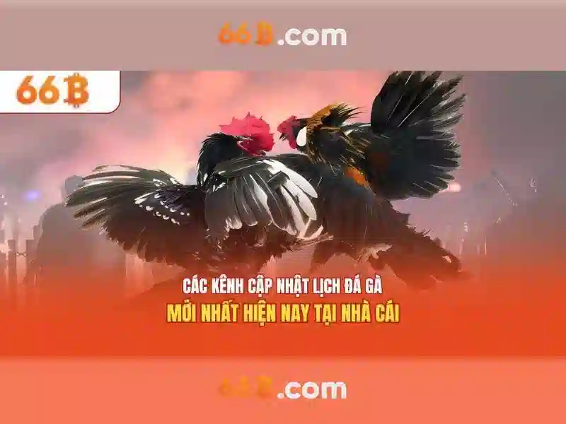 Kiến trúc và cách hoạt động