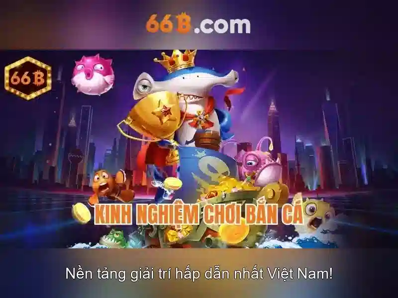 So sánh 66B với các kích thước khác