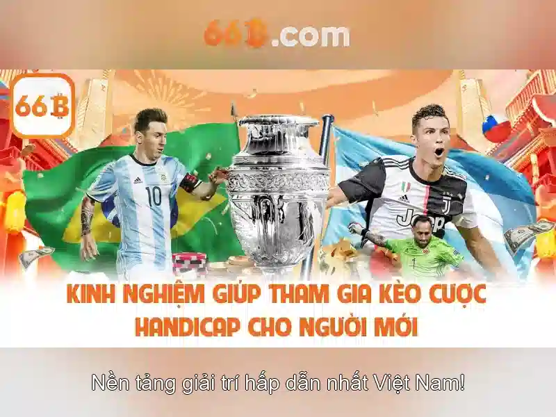 66b: khái niệm và tác động