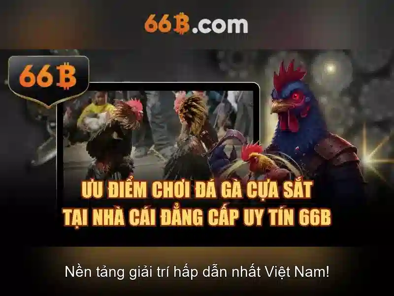 66b: Khái niệm, nguồn gốc và ứng dụng