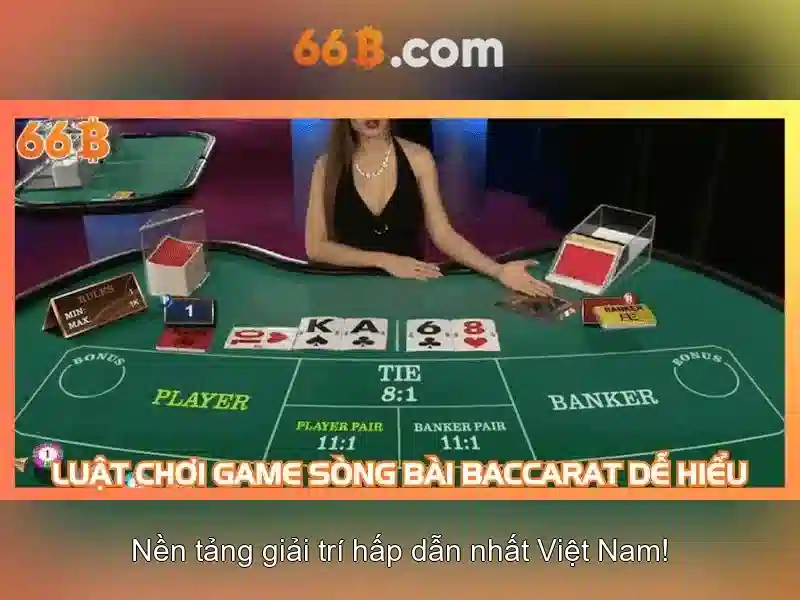 66B: một cái nhìn tổng quan về mô hình và ứng dụng