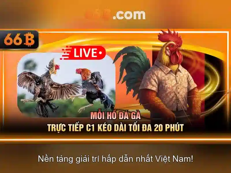 Tại sao 66b được quan tâm?