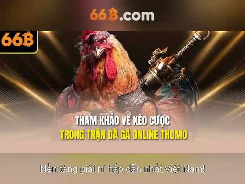 Ứng dụng tiềm năng và thách thức
