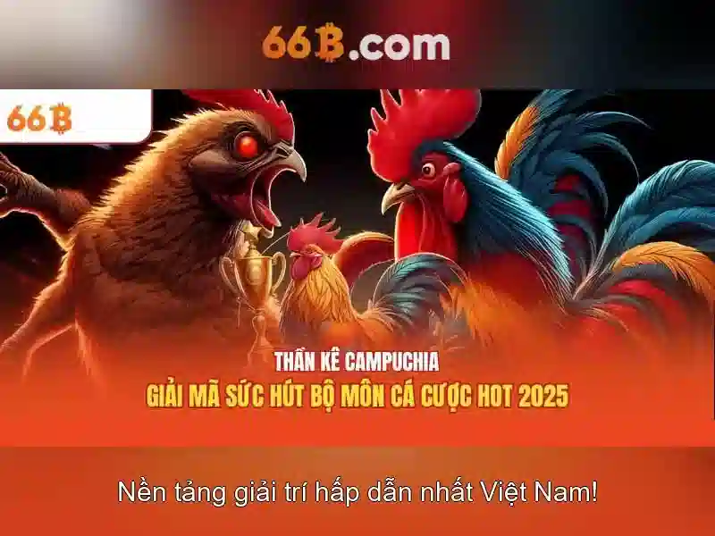Giao diện nhà cái hoàn hảo