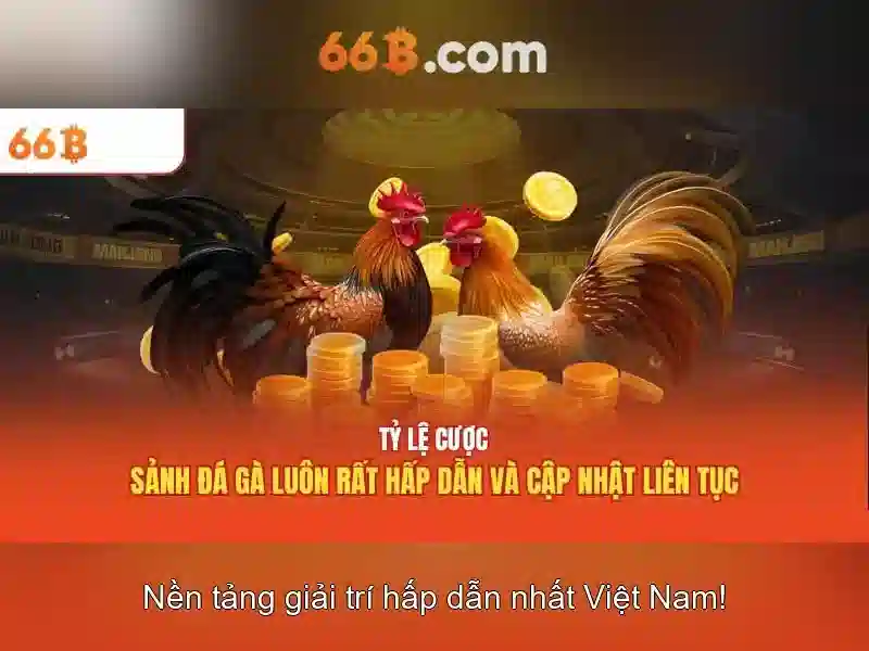 Bếp từ canzy cz 66b: hiệu quả tối ưu cho căn bếp hiện đại