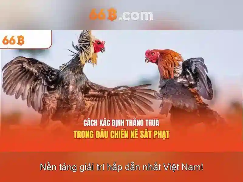 Giao diện nhà cái hoàn hảo