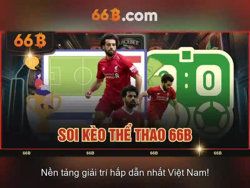 Các ứng dụng và hạn chế