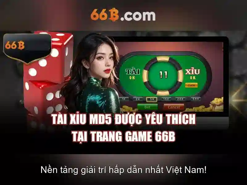 66B là gì?