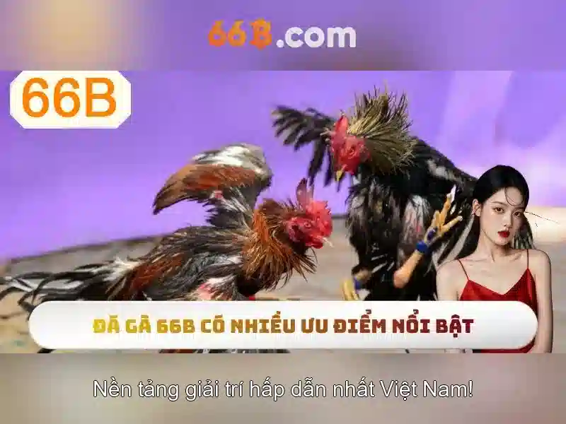 Ứng dụng tiềm năng