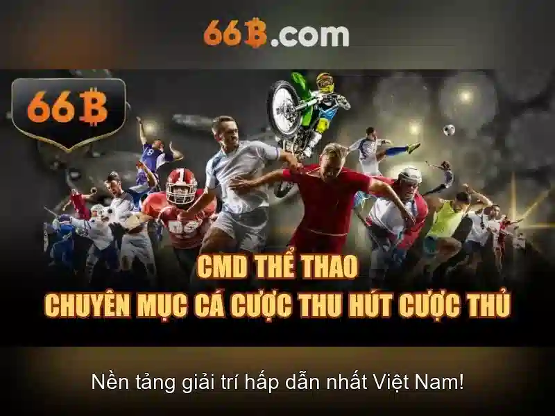 66b trong dữ liệu và viễn thông\n\n