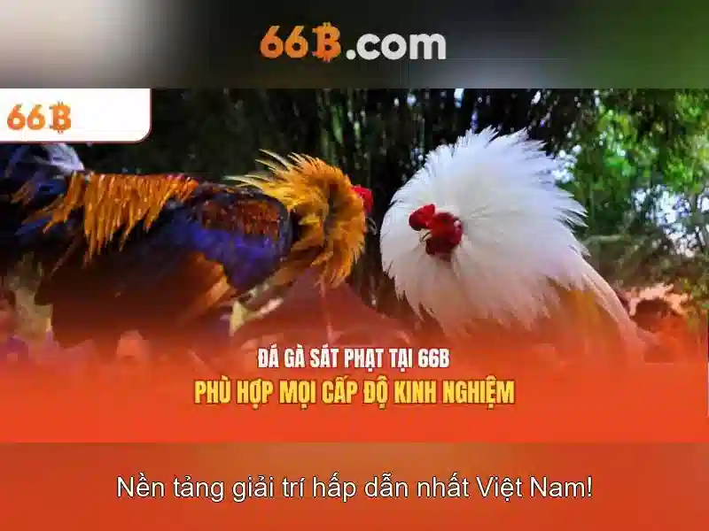 Các ứng dụng tiềm năng của 66b