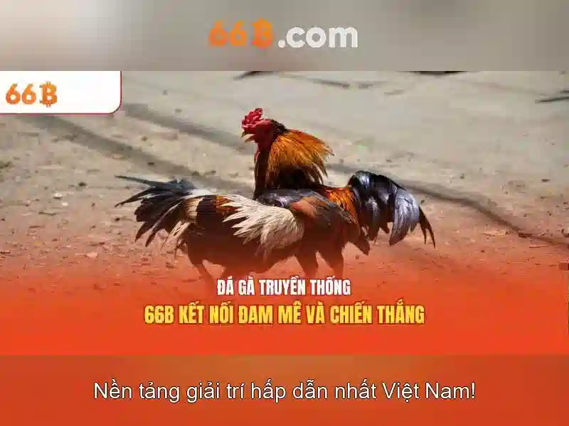Giao diện nhà cái hoàn hảo