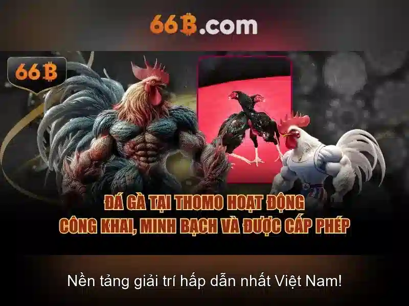 So sánh với các khái niệm liên quan