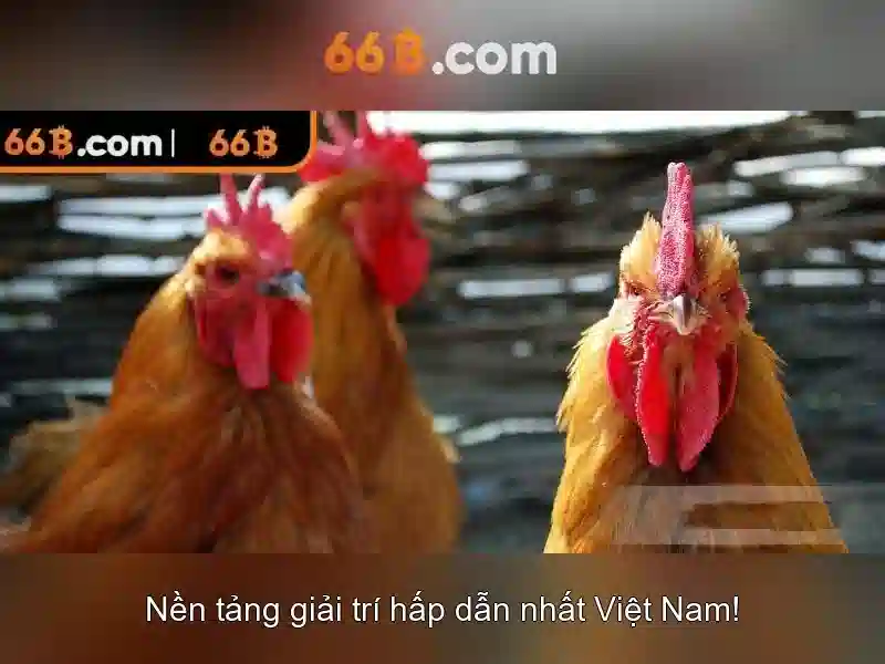 Giao diện nhà cái hoàn hảo