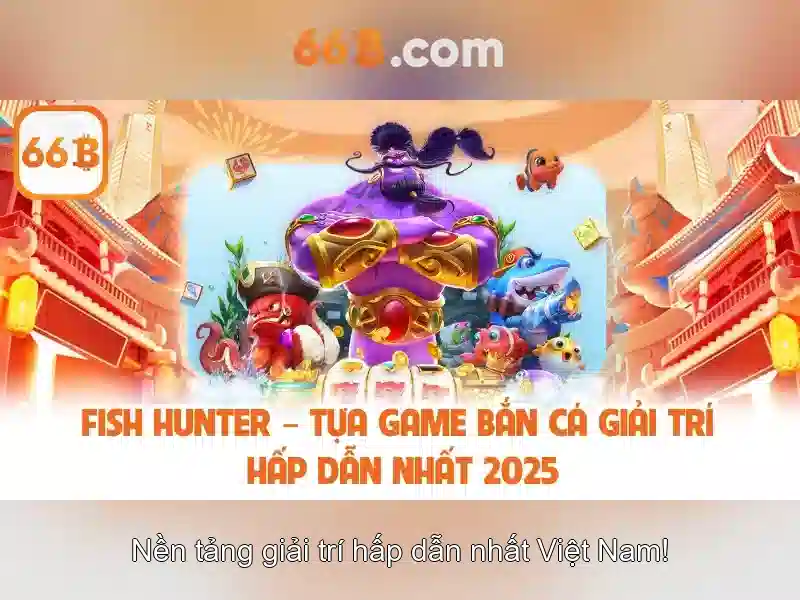 Giới thiệu về 66B